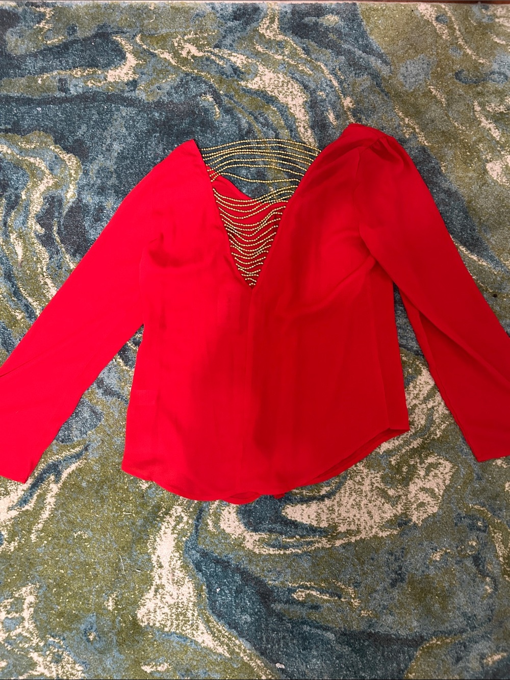 Long Sleeve Sheer Long sleeve Top with Back Chains - Picture 3 of 6